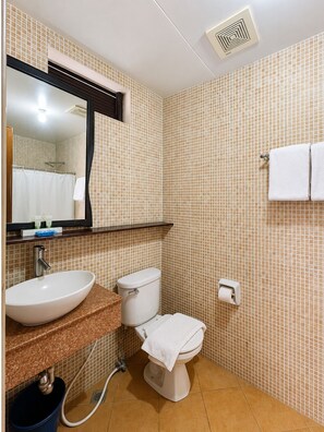 Chambre avec lits jumeaux | Salle de bain