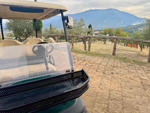 A golf cart with a clear view of a vineyard and mountains in the background. - Pizzaz Abruzzo Mountain Family Retreat Romantic Get-away or Unique Event Venue (Torre de' Passeri)
