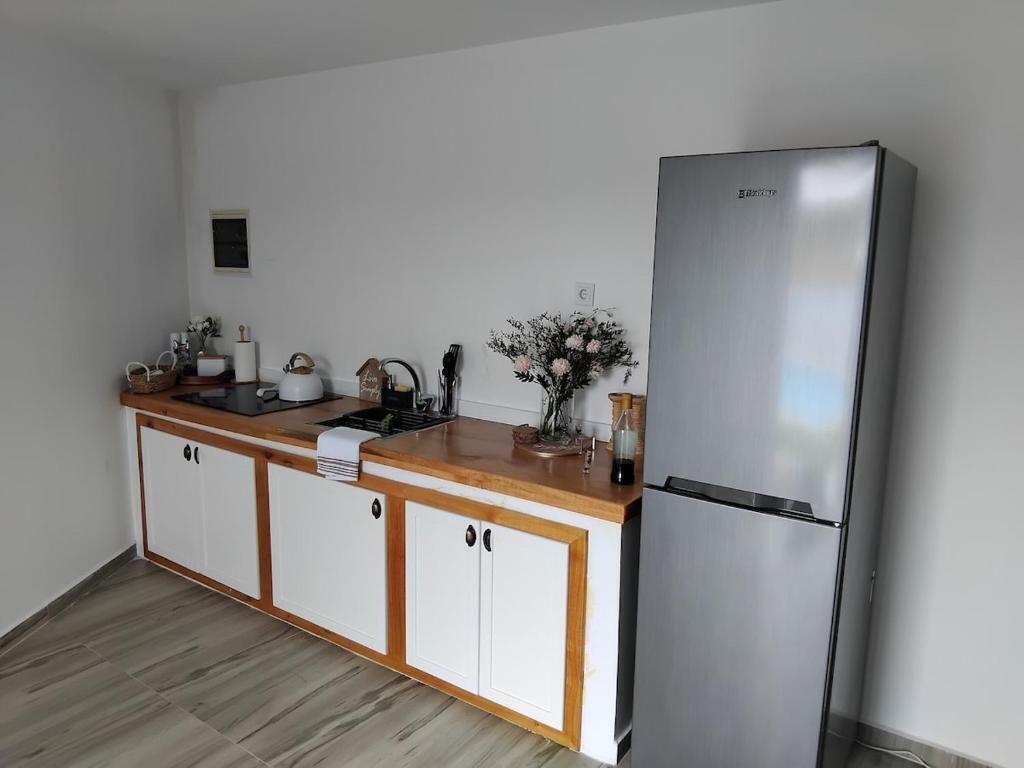 Apartment, Patio, Courtyard View | Private kitchen