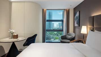 Basic Single Room, City View | View from room