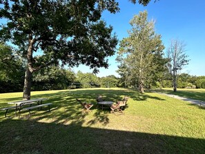 Un espace pique-nique équipé d’une table et de chaises, entouré d’herbe et d’arbres.