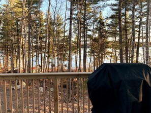 Property grounds - Amazing Lakefront Cottage with Fire Pit in Orland, Maine (Orland)