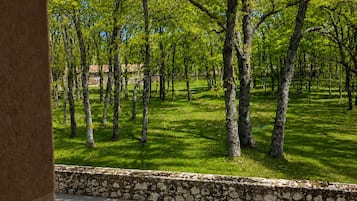 Suite junior | Jardines del alojamiento