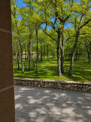 Suite junior | Jardines del alojamiento