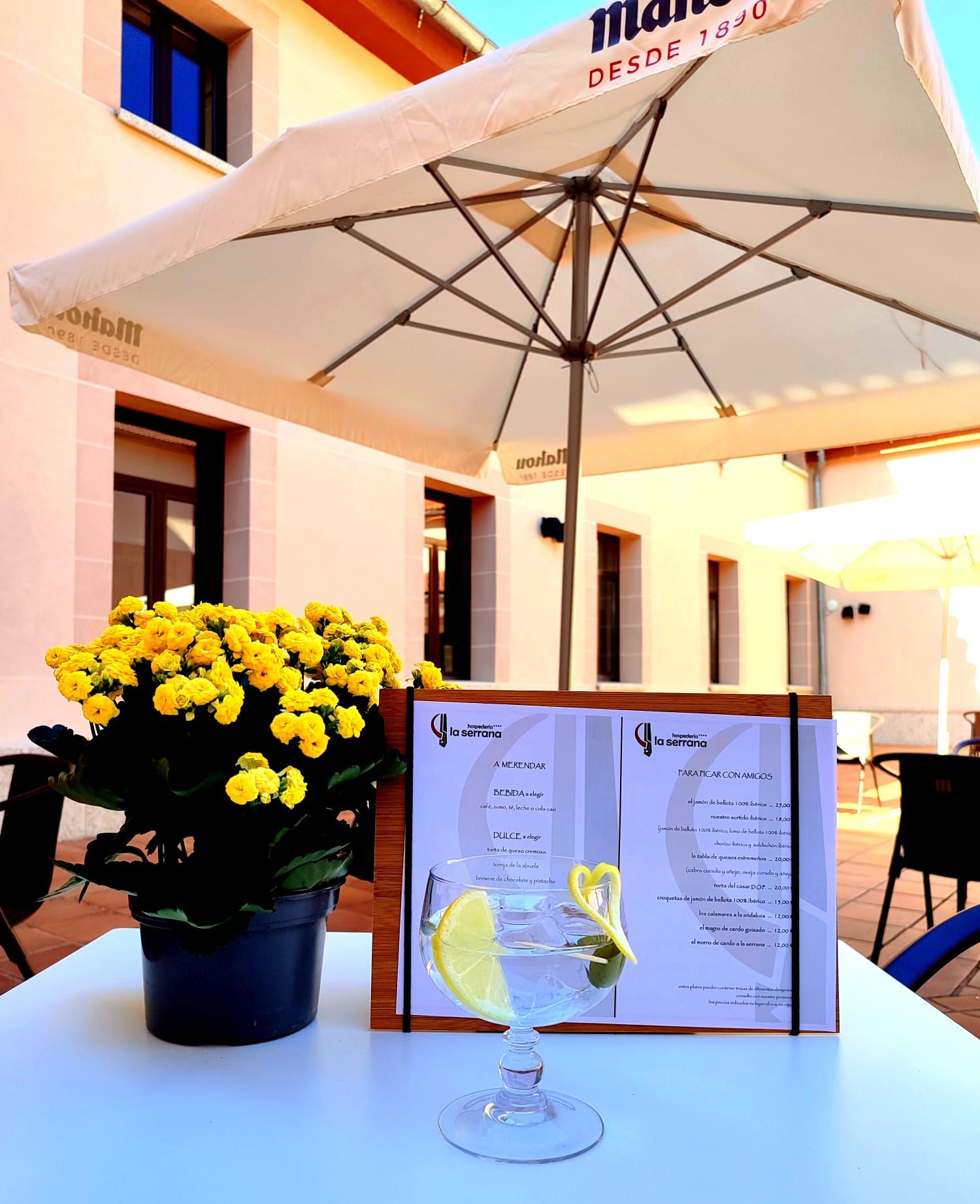 A table with a menu, a potted plant with yellow flowers, and an umbrella.