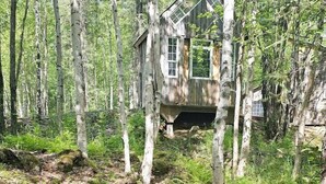Eine rustikale Holzhütte, umgeben von dichtem Wald, einem Picknicktisch und einer Feuerstelle.