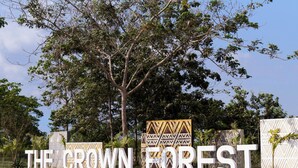 Un letrero con la leyenda 'THE CROWN FOREST', rodeado de árboles y una valla decorativa.