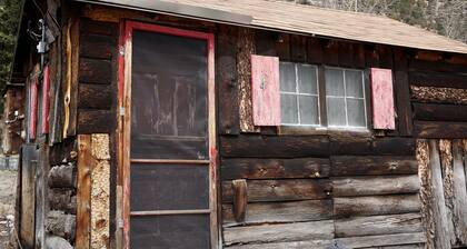 Homey, Pet Friendly Cabin near Lory State Park in Poudre Canyon, Colorado