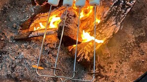 En lägereld med marshmallows på pinnar.