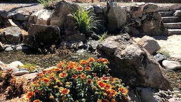 Un jardin avec des rochers, un petit étang et des plantes à fleurs.