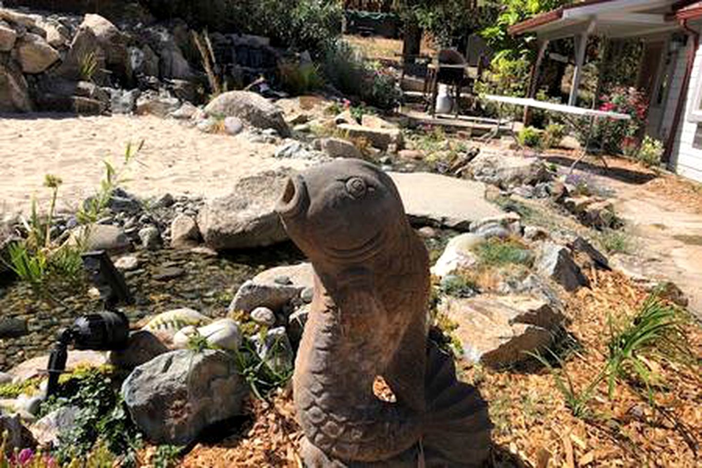 A garden with a large rock sculpture of a fish, surrounded by various plants and rocks.