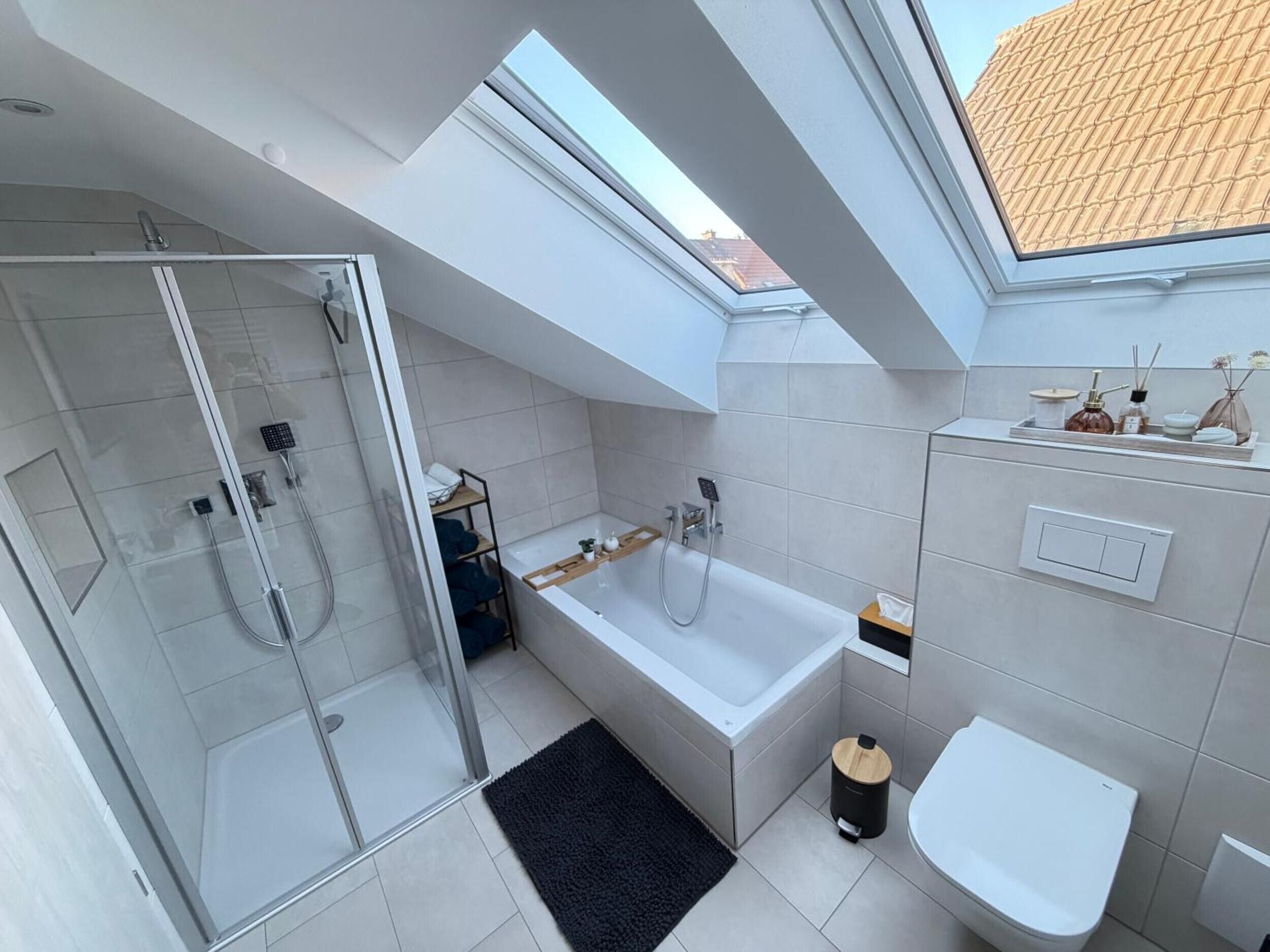 Shower, hair dryer, towels