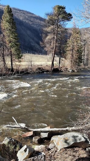 A river with clear water, surrounded by trees and a mountainous backdrop. - Cozy, Pet Friendly Cabin Deep in the Mountains for a Serene Getaway of Wilderness and Wildlife (Bellvue)