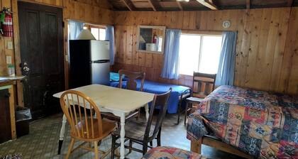 Cozy, Pet Friendly Cabin Deep in the Mountains for a Serene Getaway of Wilderness and Wildlife