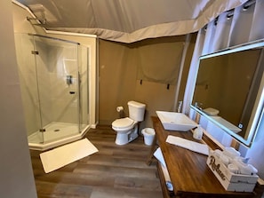 Hair dryer, towels, soap, shampoo