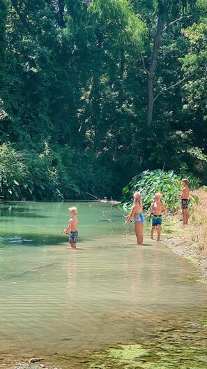 Um cenário natural com um corpo d'água, árvores e pessoas.