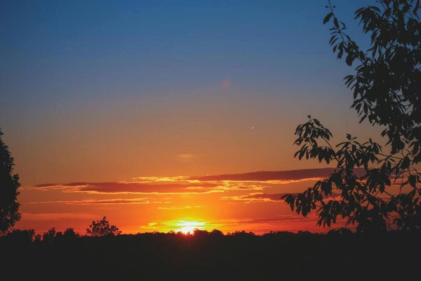 Un atardecer con el sol bajo en el horizonte, árboles silueteados y un cielo despejado.