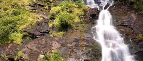 Una cascada que se precipita sobre terreno rocoso, rodeada de abundante vegetación.