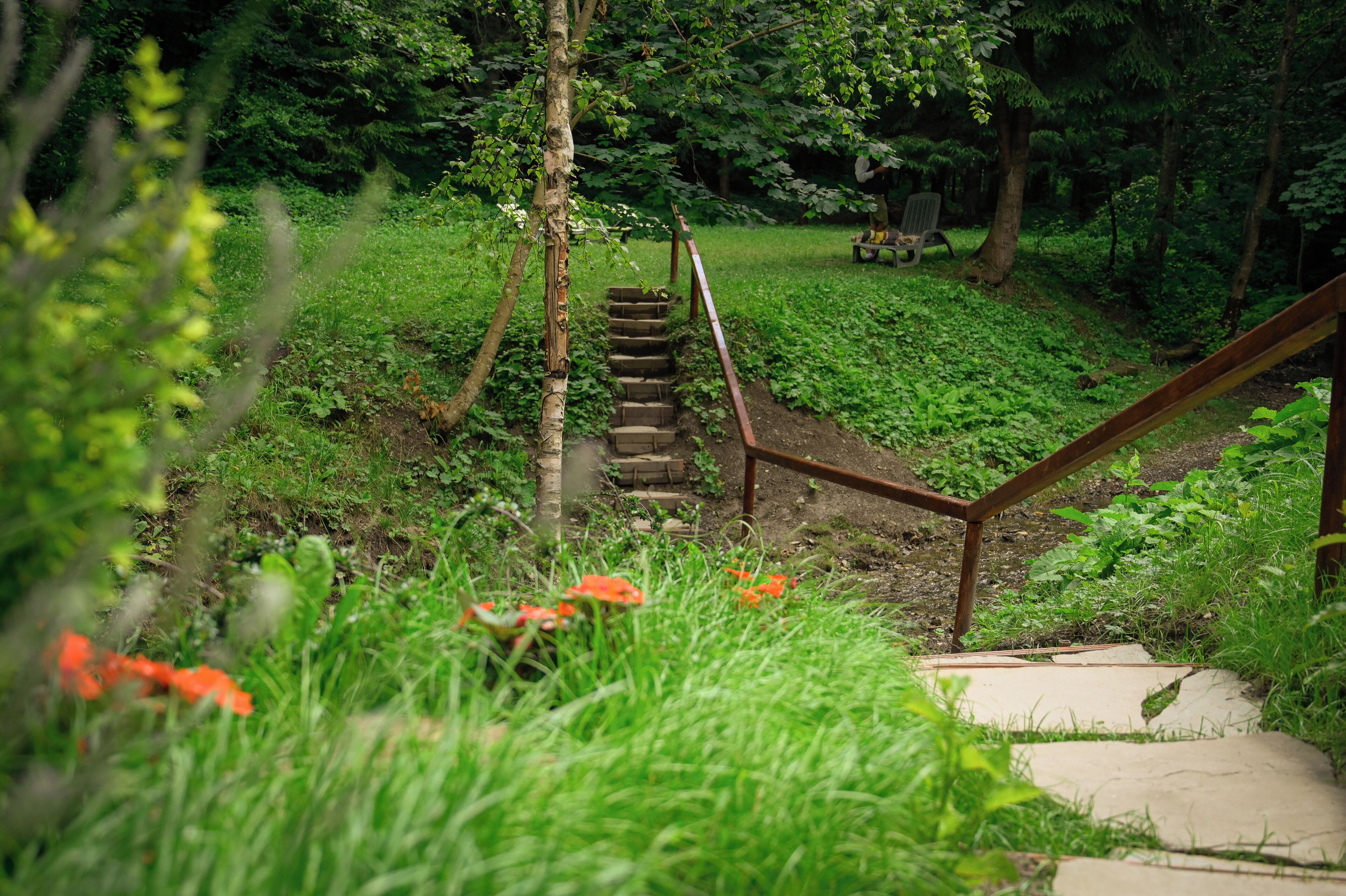 Un escalier en bois menant au sommet d’une colline verdoyante, entouré d’une végétation luxuriante, avec un banc visible au loin.