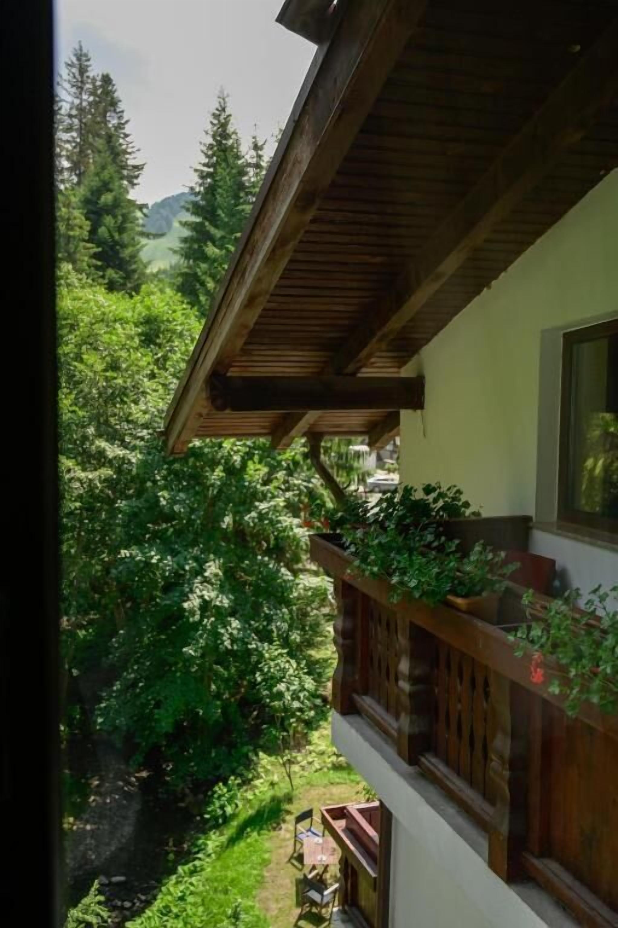 A wooden balcony with plants, a view of a forested area, and a mountain in the background.