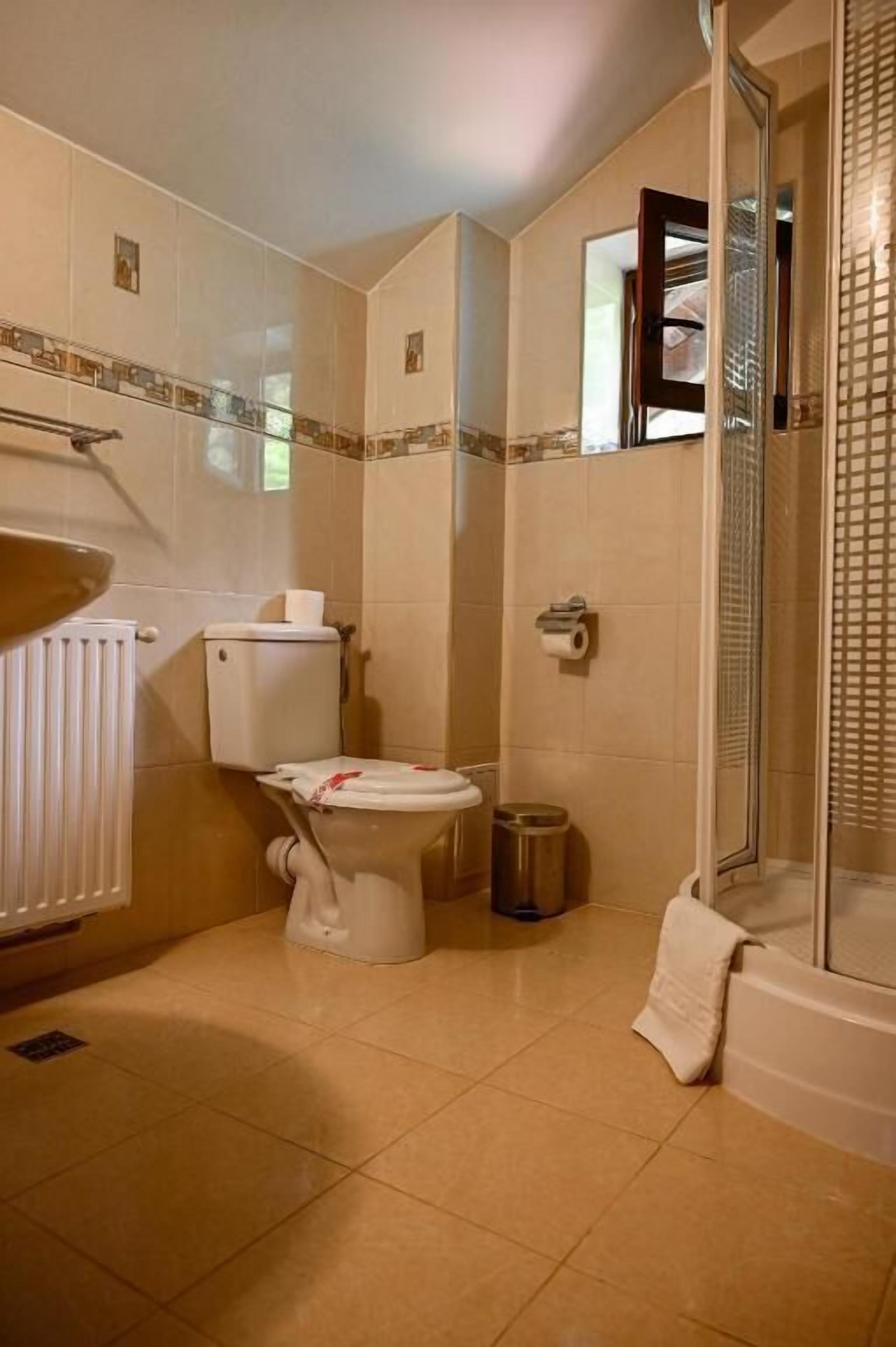 A bathroom with a toilet, a shower, and a radiator.