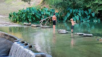 A natural water feature with a small waterfall, surrounded by lush greenery.