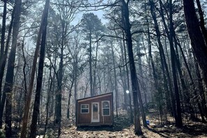 Exterior - Modern Rustic Tiny Home Surrounded by Peaceful Pines in Boles, Arkansas (Boles)
