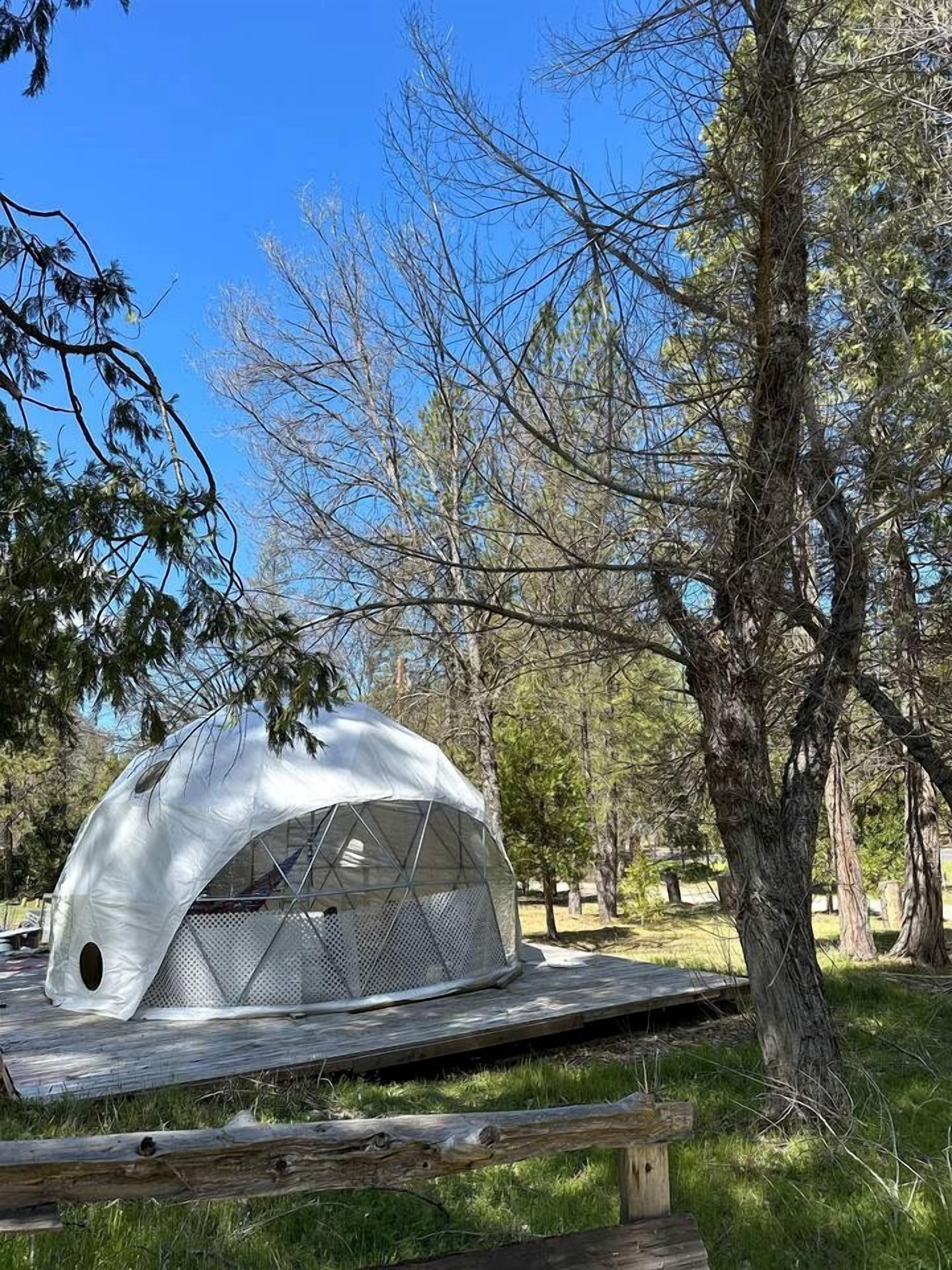 A dome-shaped tent with a mesh exterior, set on a wooden platform in a wooded area.