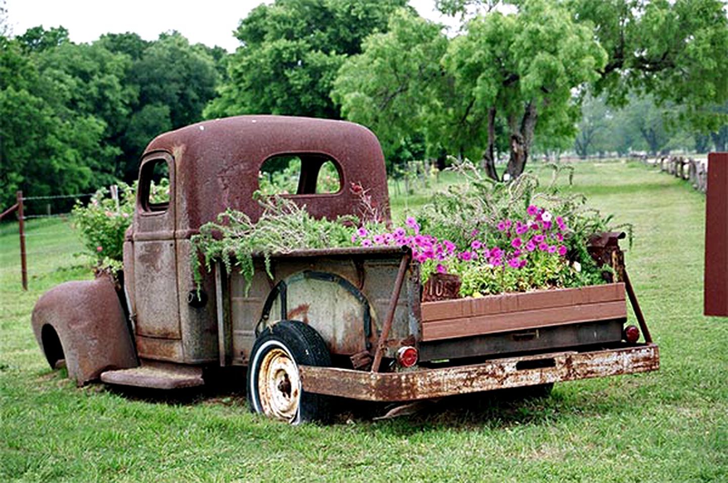 Een oude, verroeste vrachtwagen met een houten laadbak vol bloemen, geparkeerd op gras met bomen op de achtergrond.