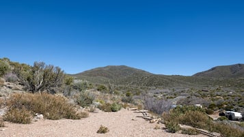 A desert landscape with sparse vegetation, a clear sky, and a distant mountain range.