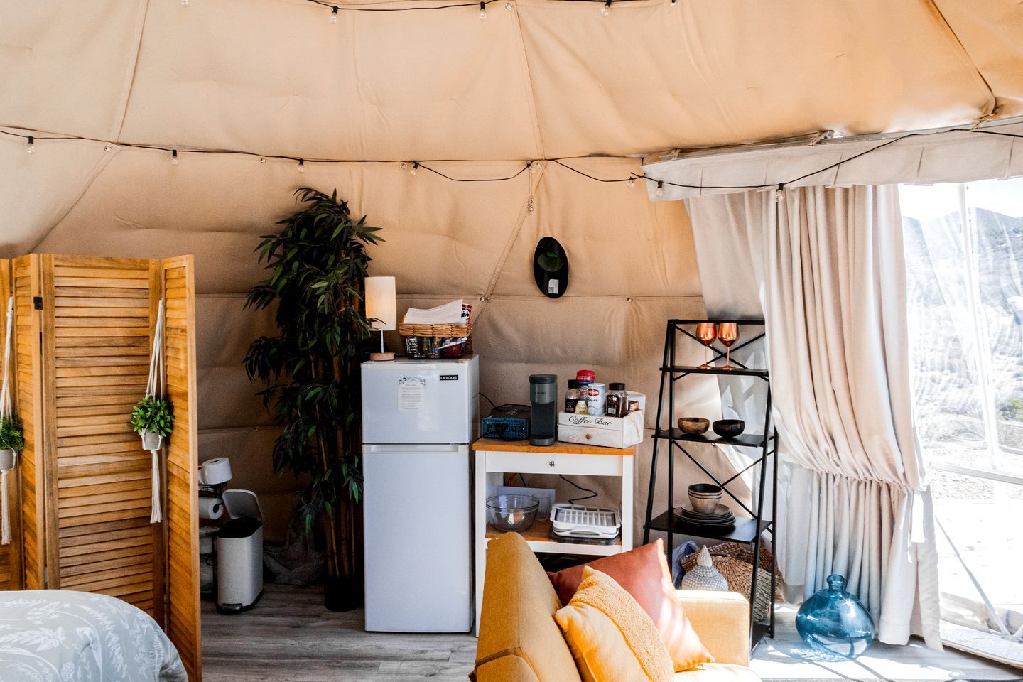 A compact living space with a kitchenette, a sofa, a coffee machine, and a plant.