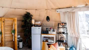 A compact living space with a kitchenette, a sofa, a coffee machine, and a plant.