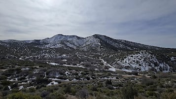 Miscellaneous