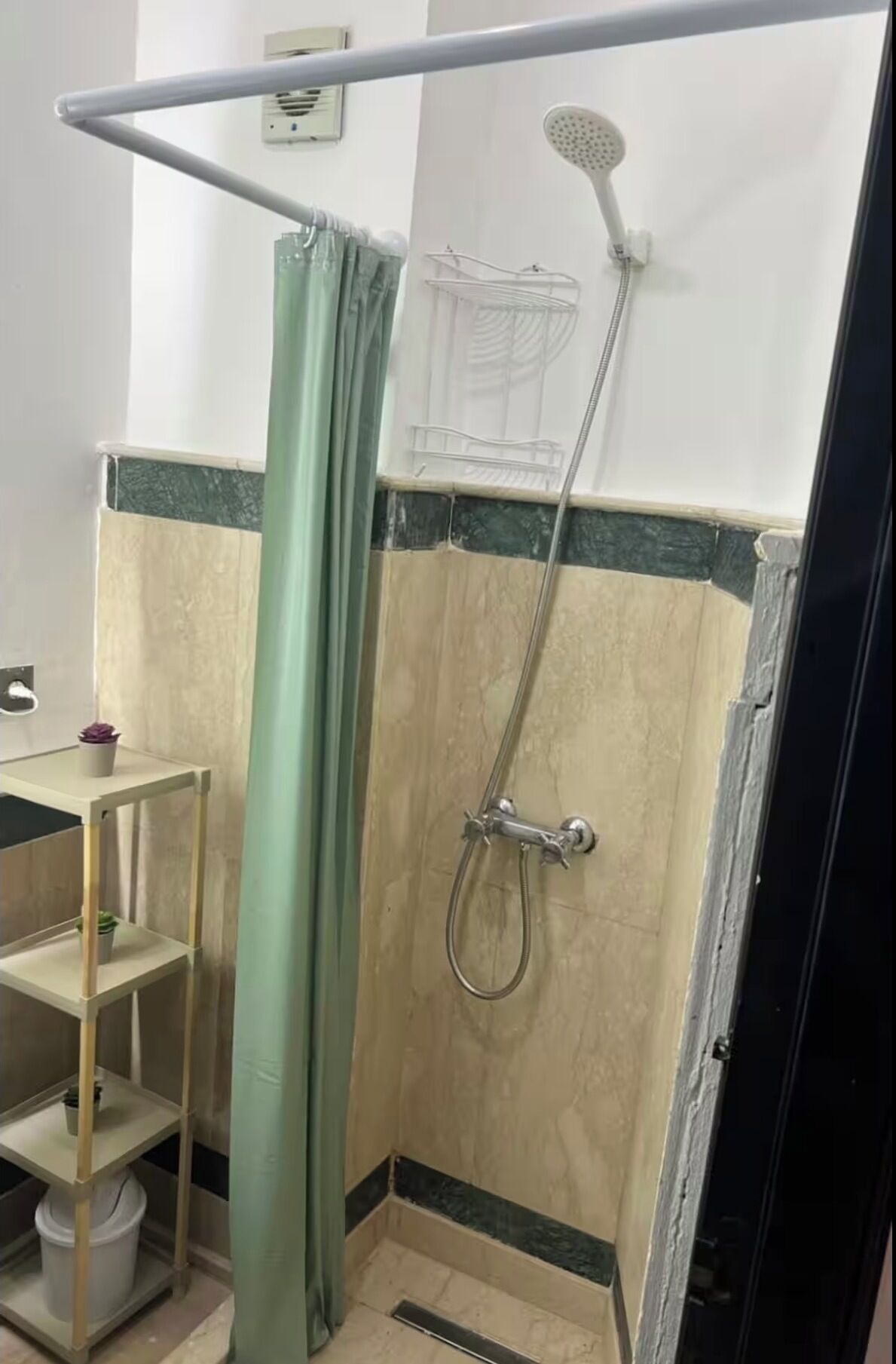 A shower area with a showerhead, curtain, and a shelf with plants.