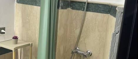 A shower area with a showerhead, curtain, and a shelf with plants.