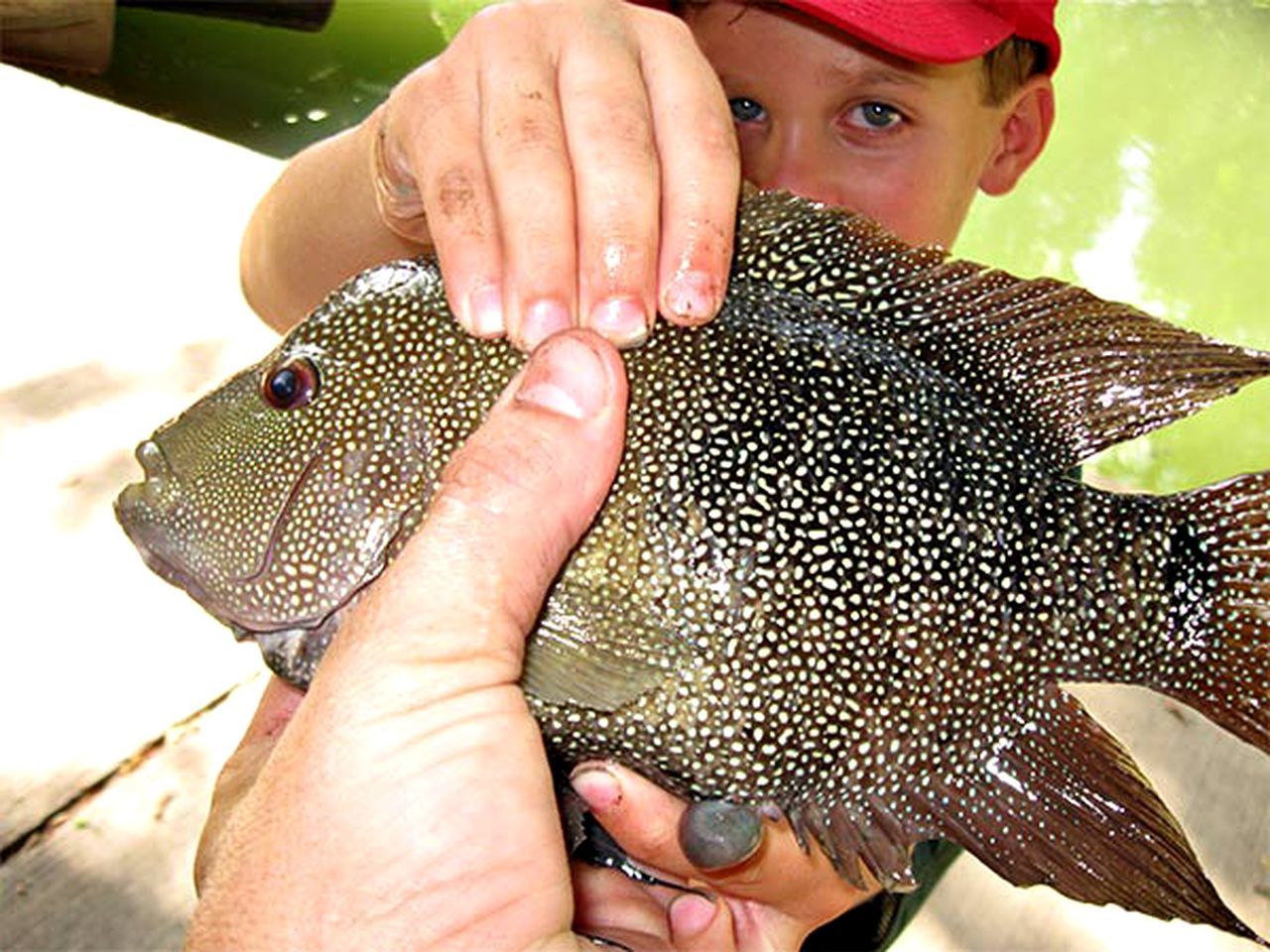 A person holding a fish.