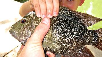 A person holding a fish.