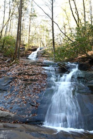 A waterfall in a forested area with rocks and fallen leaves.