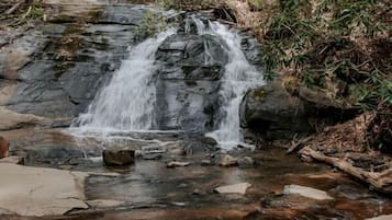 Una cascada natural en un área boscosa.