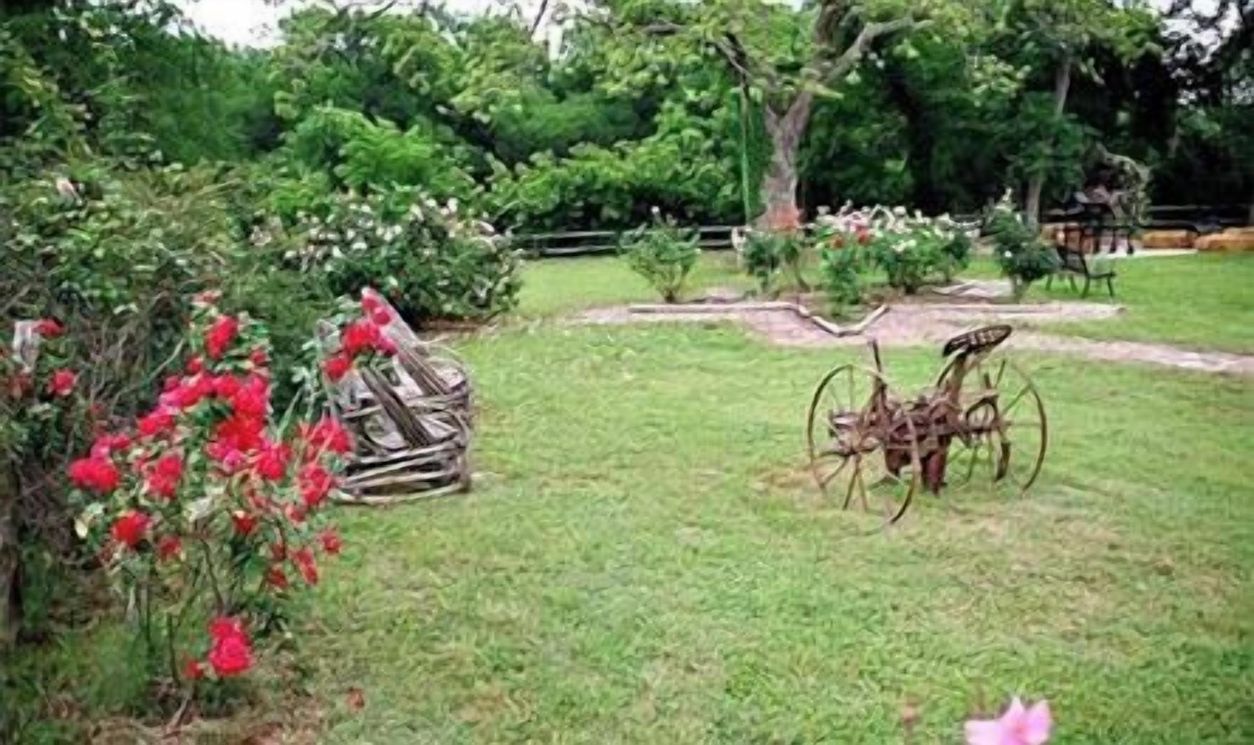Ein Garten mit Rasenmäher, Holzzaun und blühenden Pflanzen.