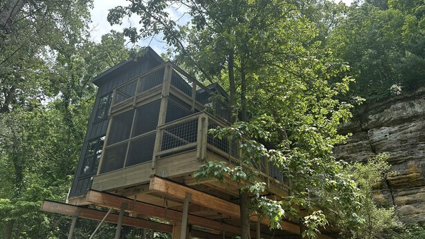 A treehouse with a wooden deck and a metal railing, surrounded by dense forest.