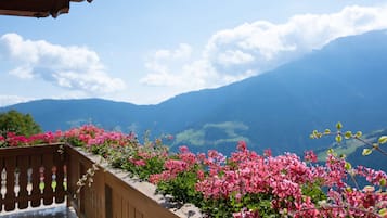 Ein Balkon mit rosa Blumen und Bergblick.