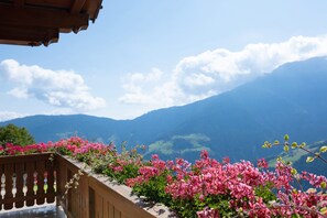 Un balcón con flores rosadas y vistas a las montañas.