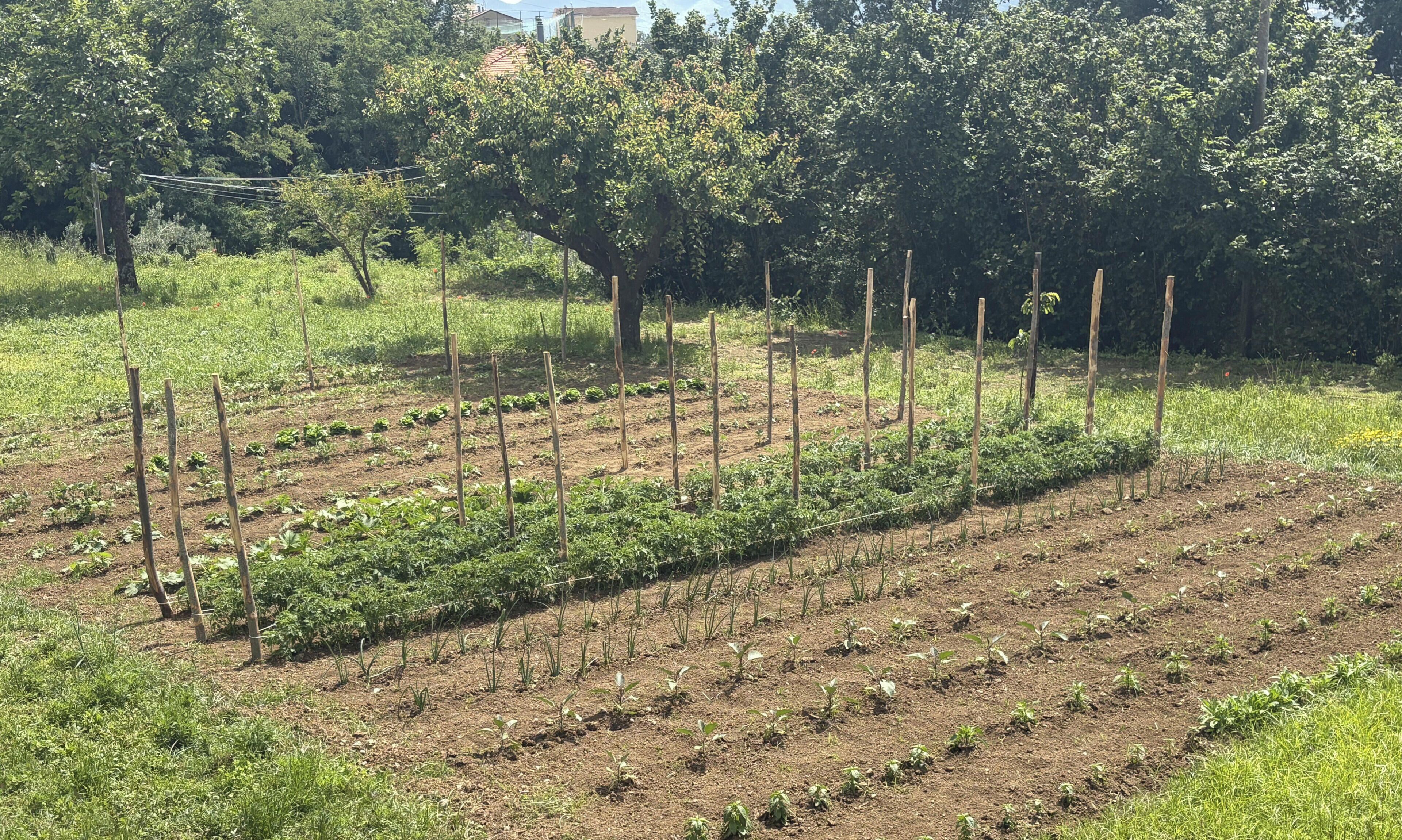 Parco della struttura