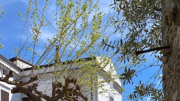 Esterni