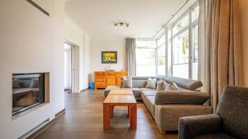 Kamin, DVD-Player