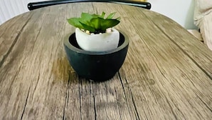 A round wooden table with a black bowl containing a potted plant.