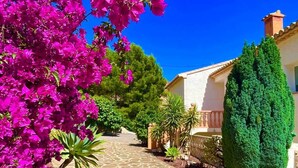 A stone-paved pathway leading to a building with a well-maintained garden, including bougainvillea and a topiary. - Villa Margarita - Altea’s Pure Delight (Altea)