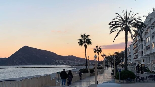 Une promenade en bord de mer, avec une montagne en arrière-plan, des palmiers et un chemin piétonnier dallé.