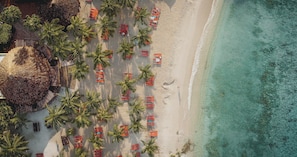 An aerial view of a beach with rows of palm trees and red beach chairs, a thatched-roof structure, and a sandy shoreline. - The Ivy - Blue Bay Golf & Beach Resort (Sint Michiel)